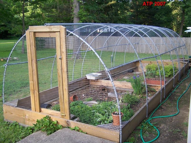 Photo Gallery Dawn S Outdoor Box Turtle Pen